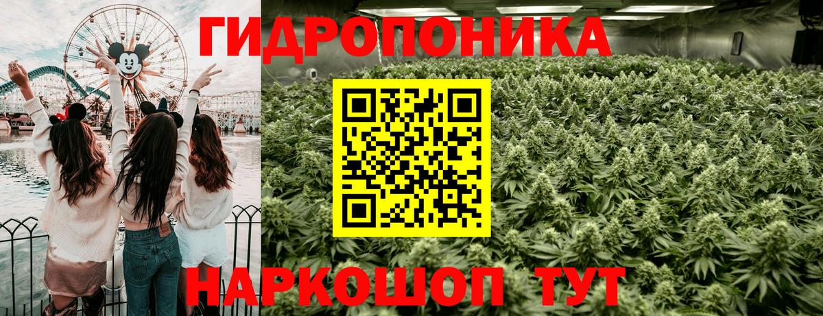 Бошки марихуана планчик  Вход с VPN  Марихуана планчик  Назарово  Конопля гибрид 